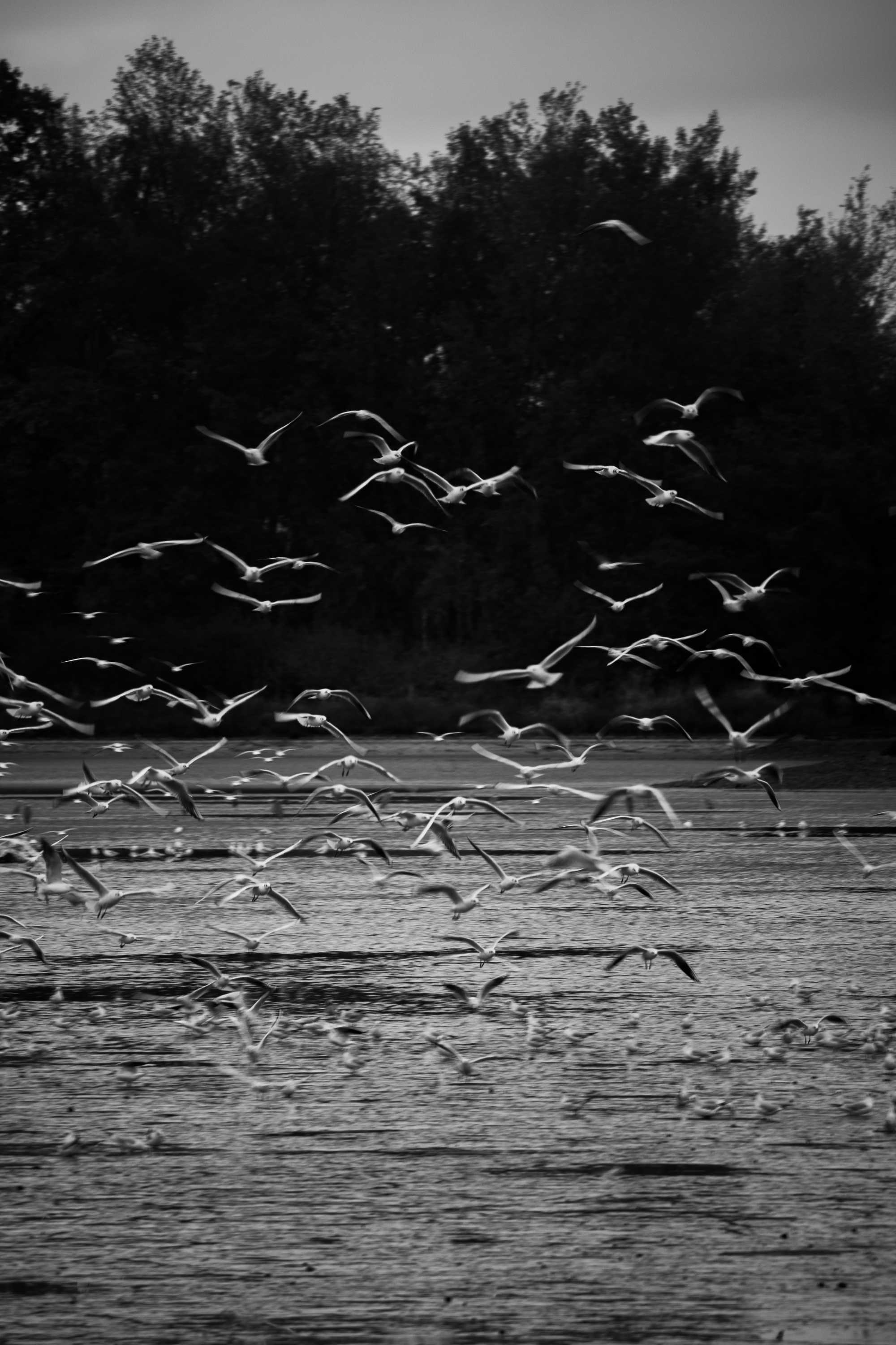 2023 Photo 40